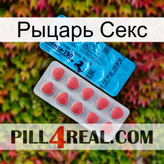 Рыцарь Секс new14